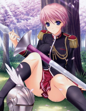 Walkure Romanze cover