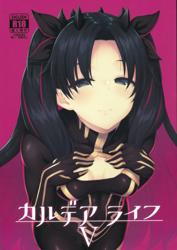 Chaldea Life V cover
