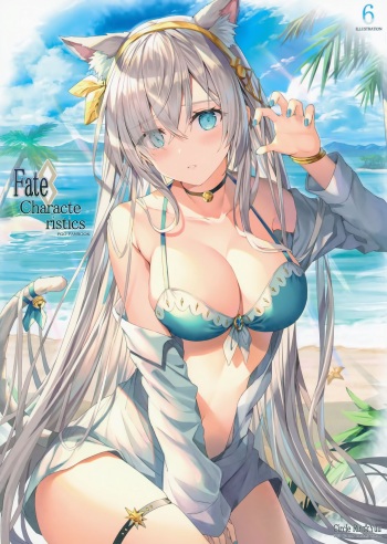 Fate Characteristic 6 cover