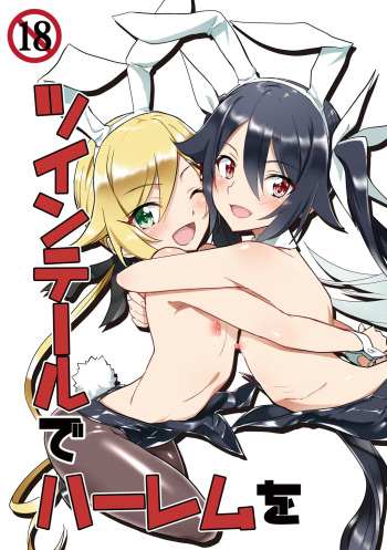 Twintail de Harem o cover