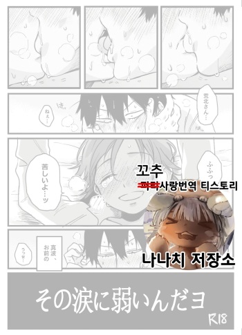 Sono Namida Ni Yowain Dayo | 그 눈물에 약한 거라고 cover
