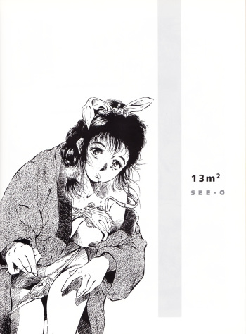 13 mètres carrés cover