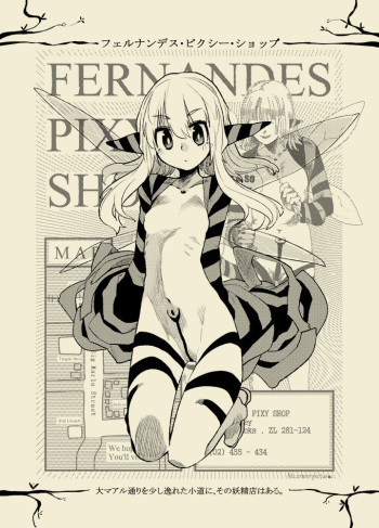 FERNANDES PIXY SHOP cover