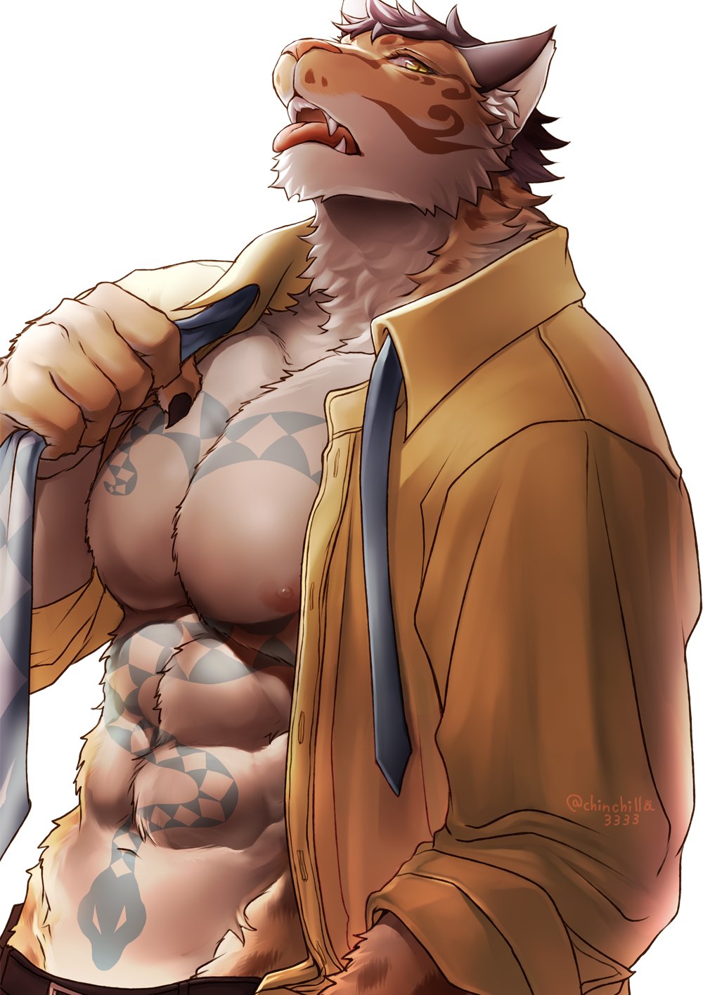 Artist - チンチラさん / Chinchilla3333 page 5 full