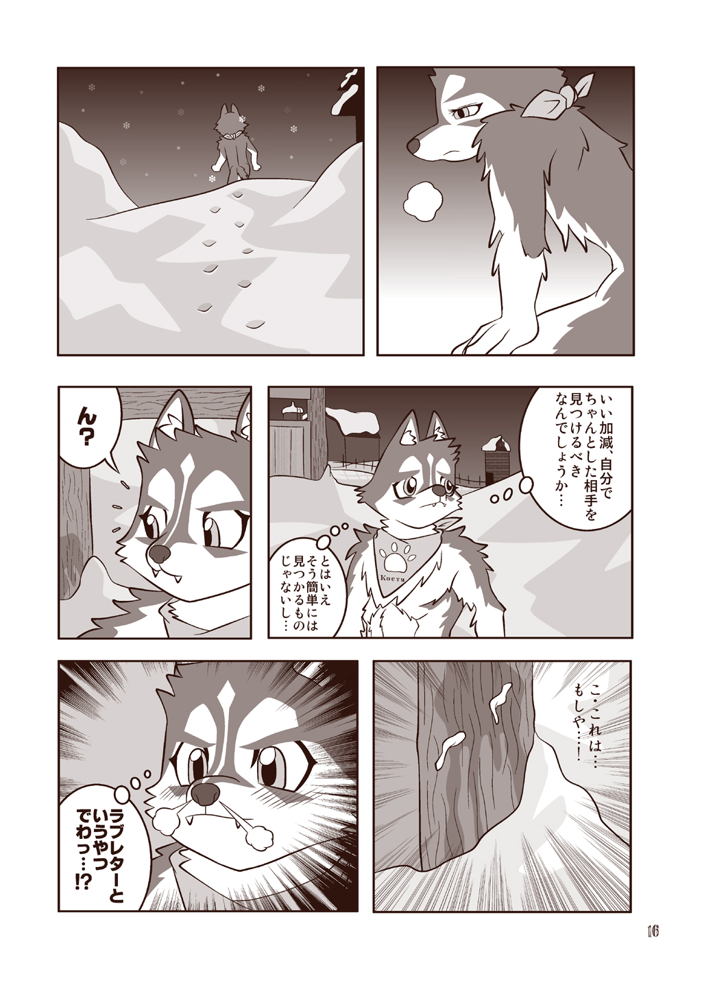 wildcritters.ws pre-wipe siterip 22000~23999 page 5 full