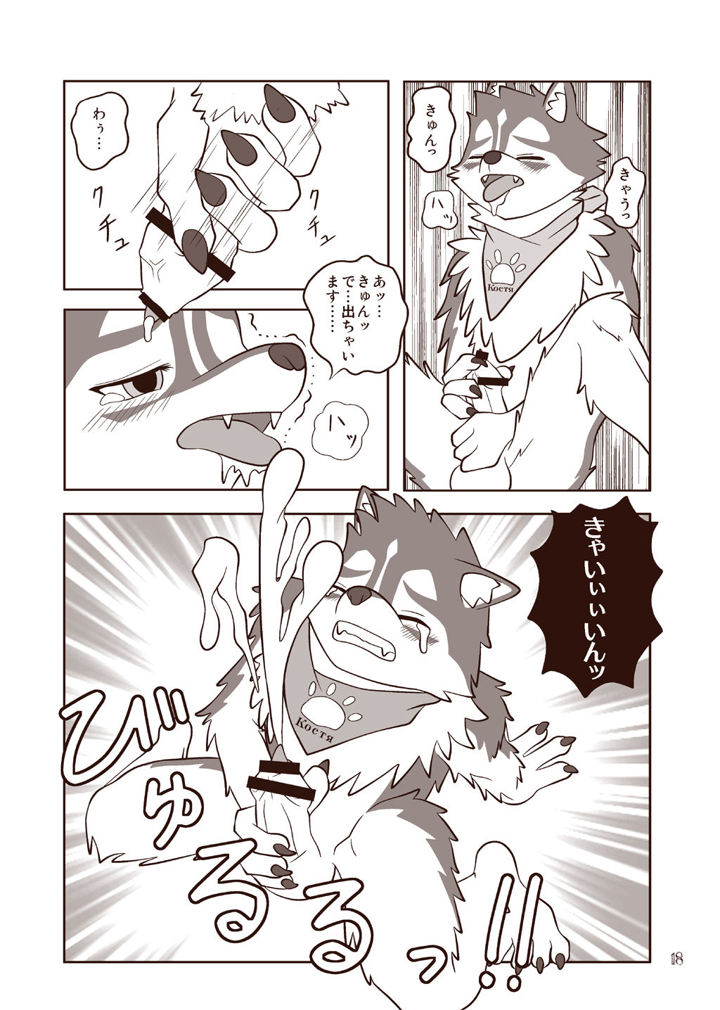 wildcritters.ws pre-wipe siterip 22000~23999 page 7 full