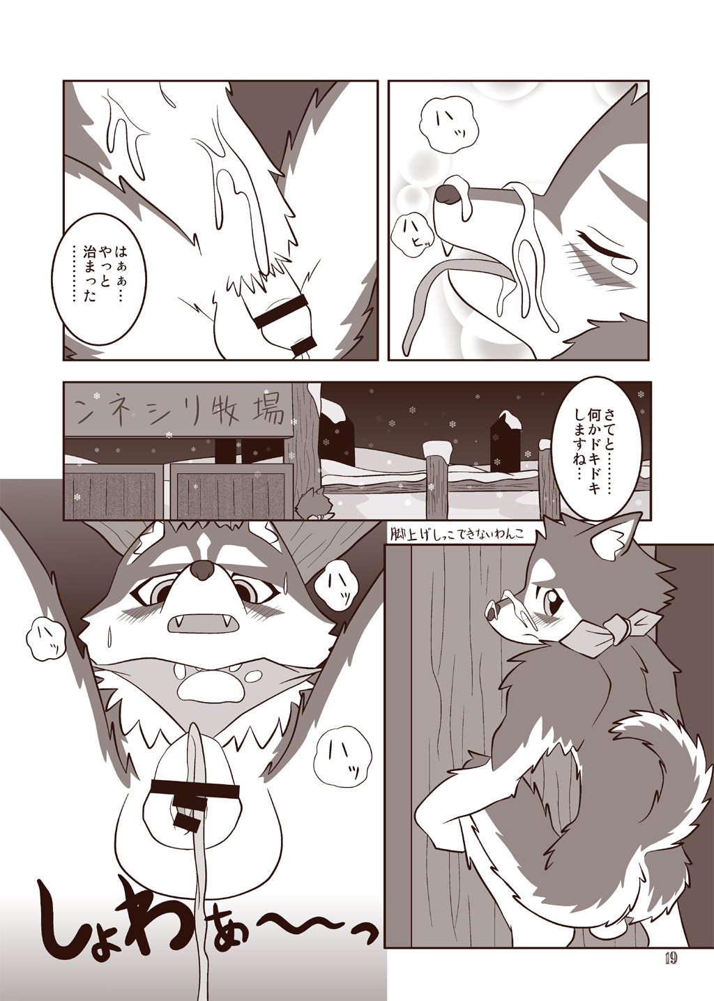 wildcritters.ws pre-wipe siterip 22000~23999 page 8 full