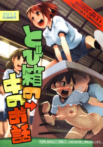 School Girls 5 - Tobibako no Naka no Ohanashi cover