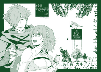 Aru Yoru Chaldea nite cover