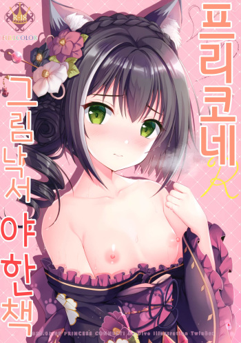 PriConne Rakugaki Ecchi Bon | 프리코네 그림 낙서 야한 책 cover
