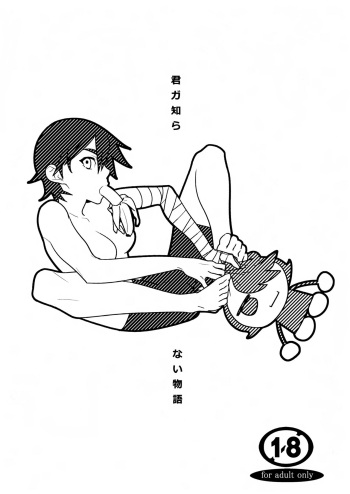 Kimi ga Shiranai Monogatari cover