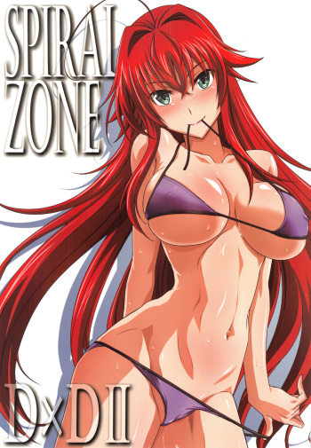 SPIRAL ZONE DxD II cover