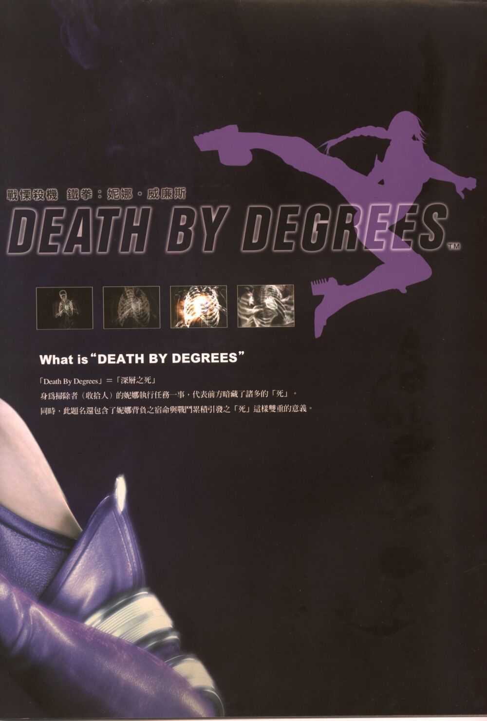 Artbook_Nina_Williams_-_Death_by_Degrees page 4 full