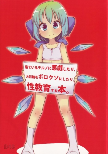 Neteiru Cirno ni Itazura Shitari Daiyousei wo Borokuso ni Shitari Seikyouiku Suru Hon. cover