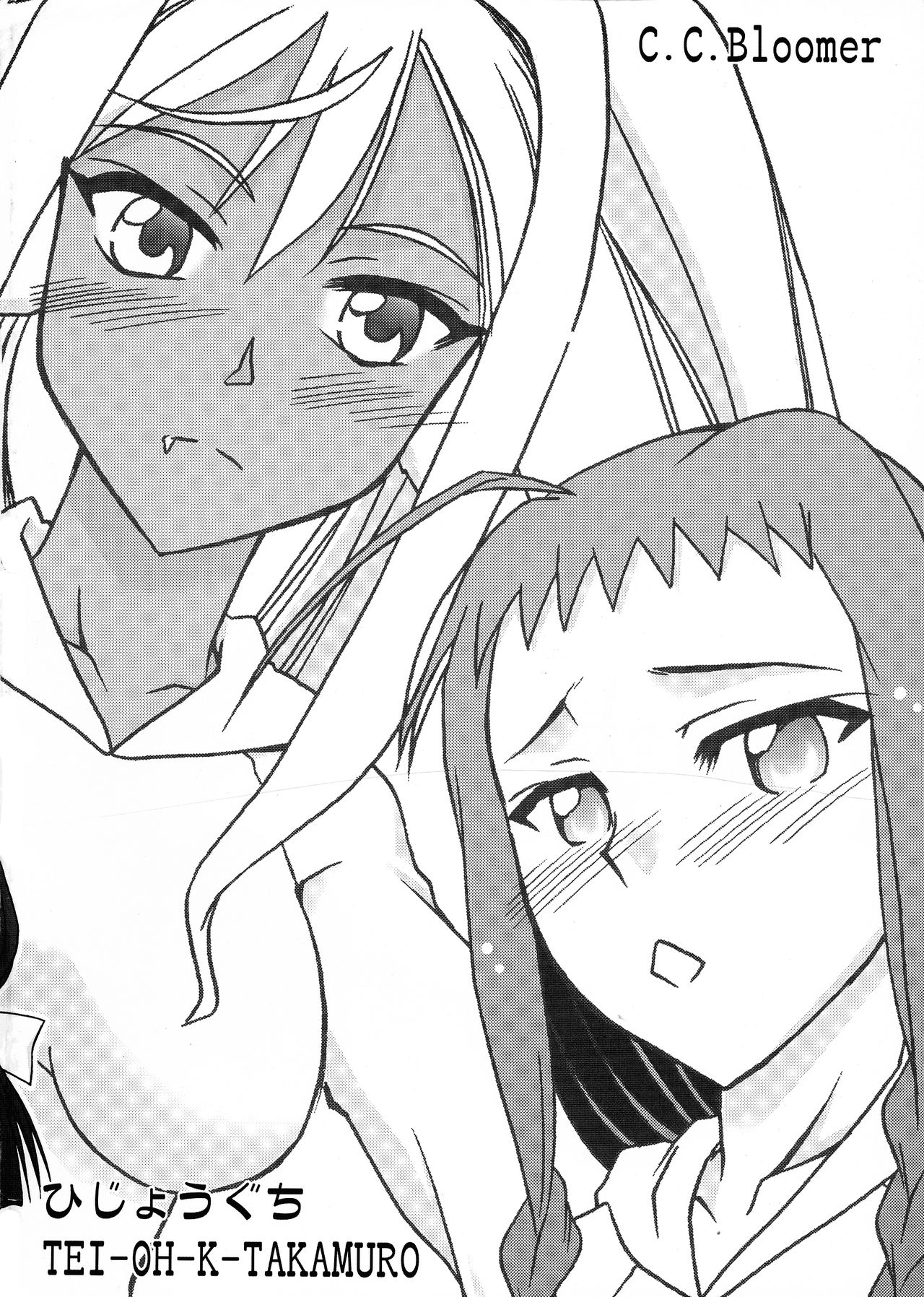 C.C.Bloomer page 2 full