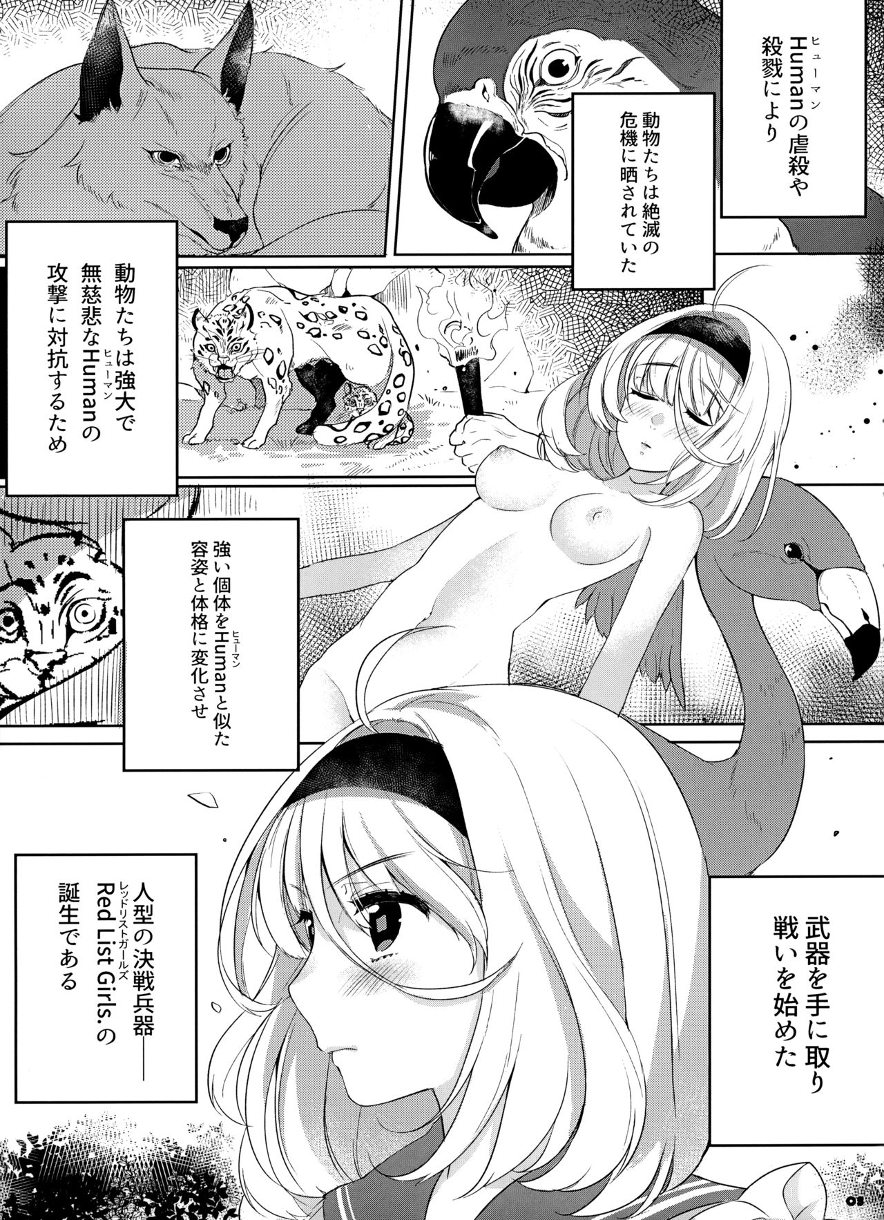 FLAMINGO; RABBIT STRAWBERRY page 5 full