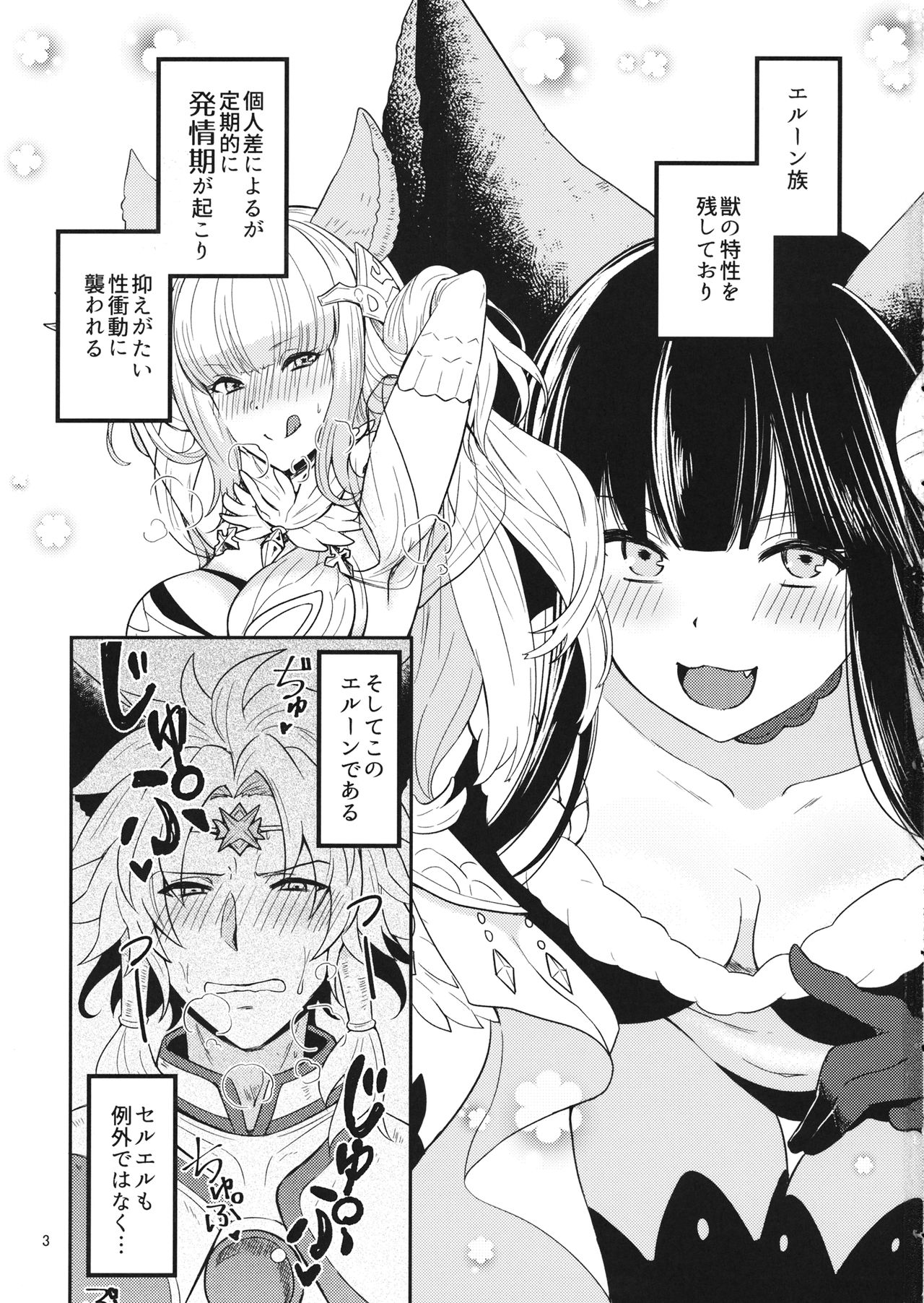 Hatsujou Seruel to Sei Djeeta-chan page 2 full