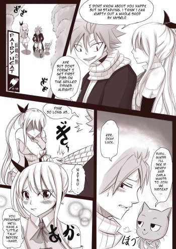 Fairy Heat cover