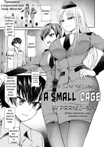 Chiisana Ori | A Small Cage cover