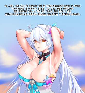 Herrscher of Void_Swimsuit cover