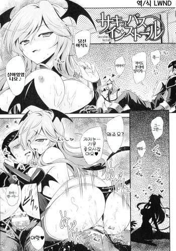 Succubus Install cover