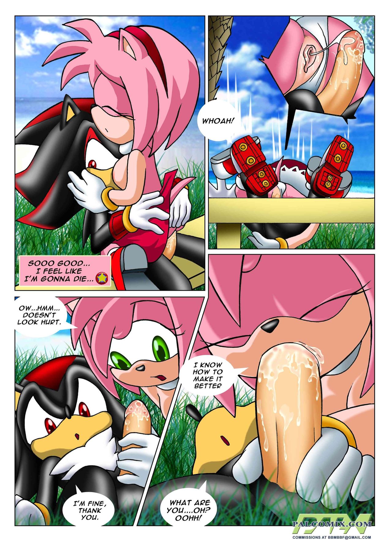 Sonic XXX Project: Collector's Edition page 5 full