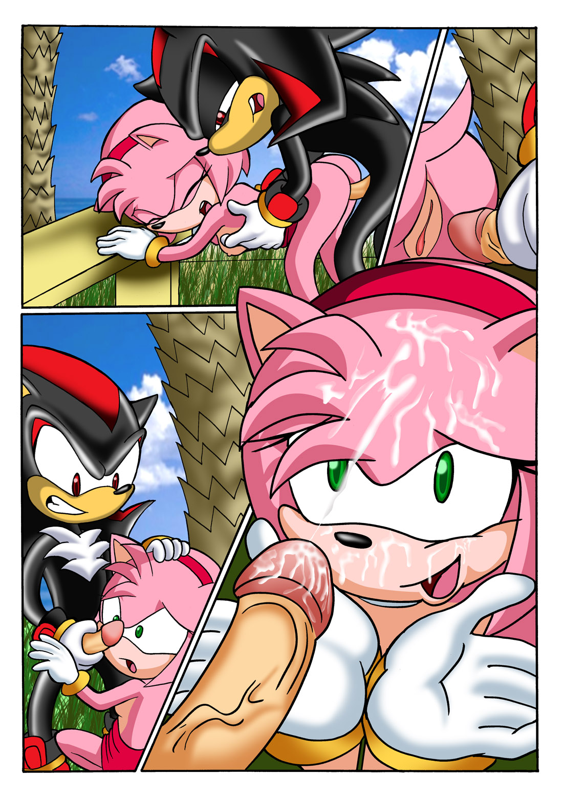 Sonic XXX Project: Collector's Edition page 7 full