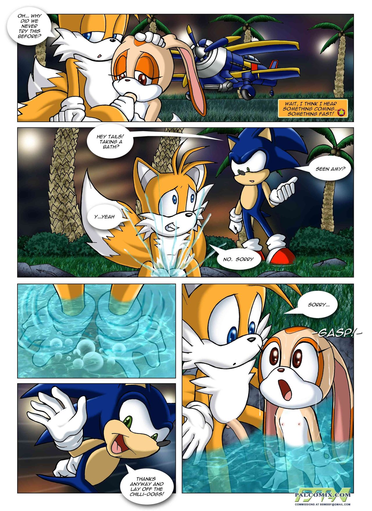 Sonic XXX Project: Collector's Edition page 9 full