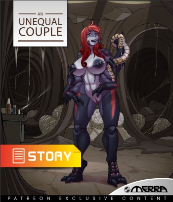 An unequal couple cover