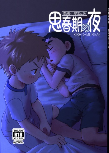Shishunki no Yoru cover