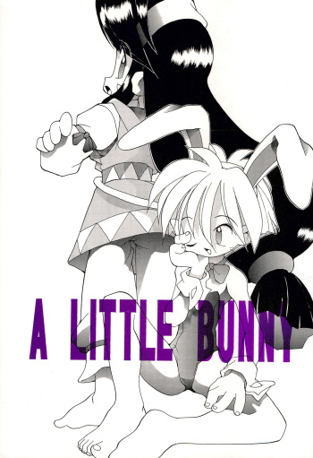 A LITTLE BUNNY cover