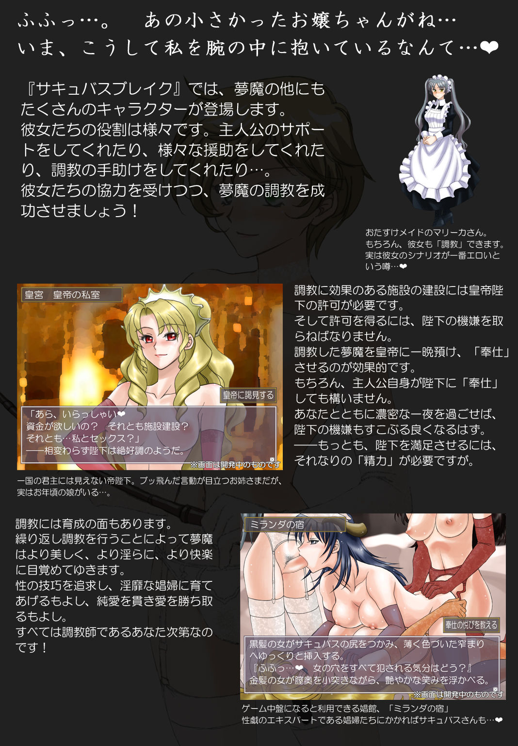 Succubus Choukyou Nisshi page 3 full