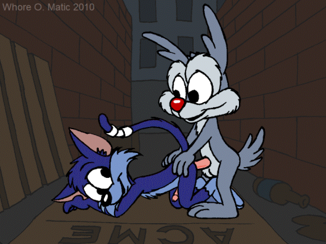TINY TOONS PORN GIF page 6 full