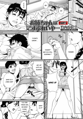 Onee-chan wa Cosplayer | Onee-chan is a cosplayer cover