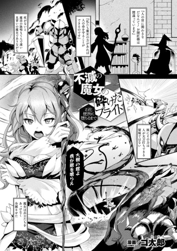 Fumetsu no Majo no Kudaketa Pride -Sekka Benjo ni Ochiru made- cover