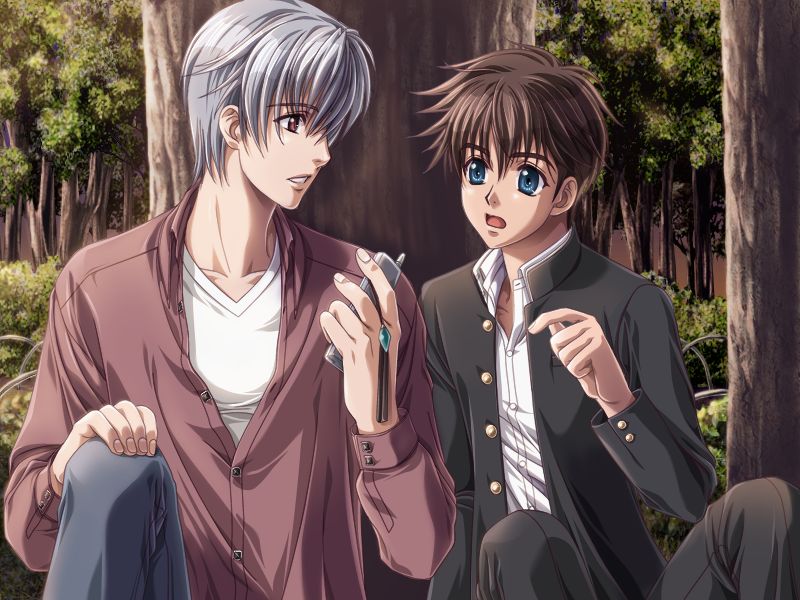 Silver Chaos Fan Box -Eternal Fantasia- page 2 full