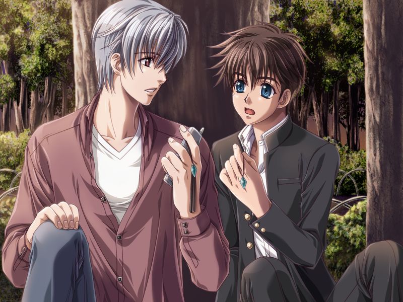 Silver Chaos Fan Box -Eternal Fantasia- page 3 full