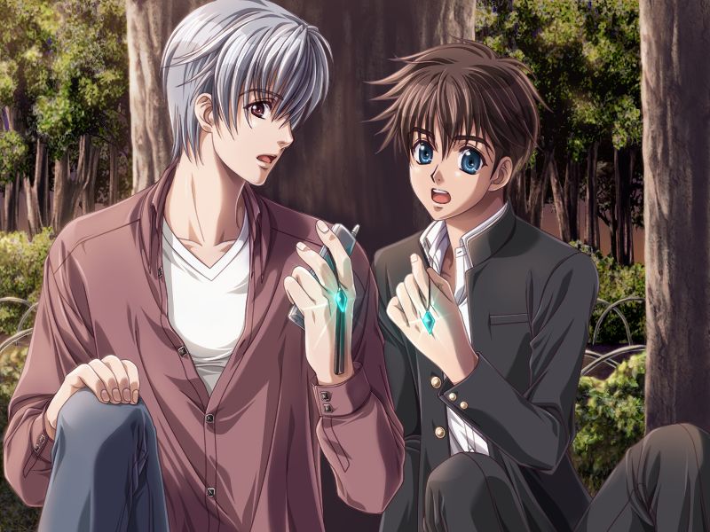 Silver Chaos Fan Box -Eternal Fantasia- page 4 full