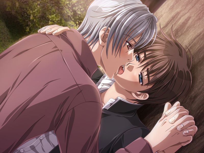 Silver Chaos Fan Box -Eternal Fantasia- page 5 full