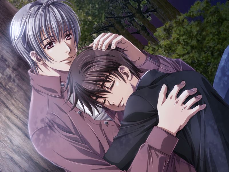 Silver Chaos Fan Box -Eternal Fantasia- page 8 full