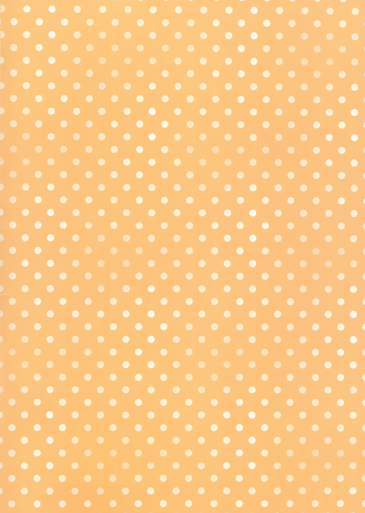 Imouto to Hajimemashita | My Little Sister and I Had Our First Time page 2 full