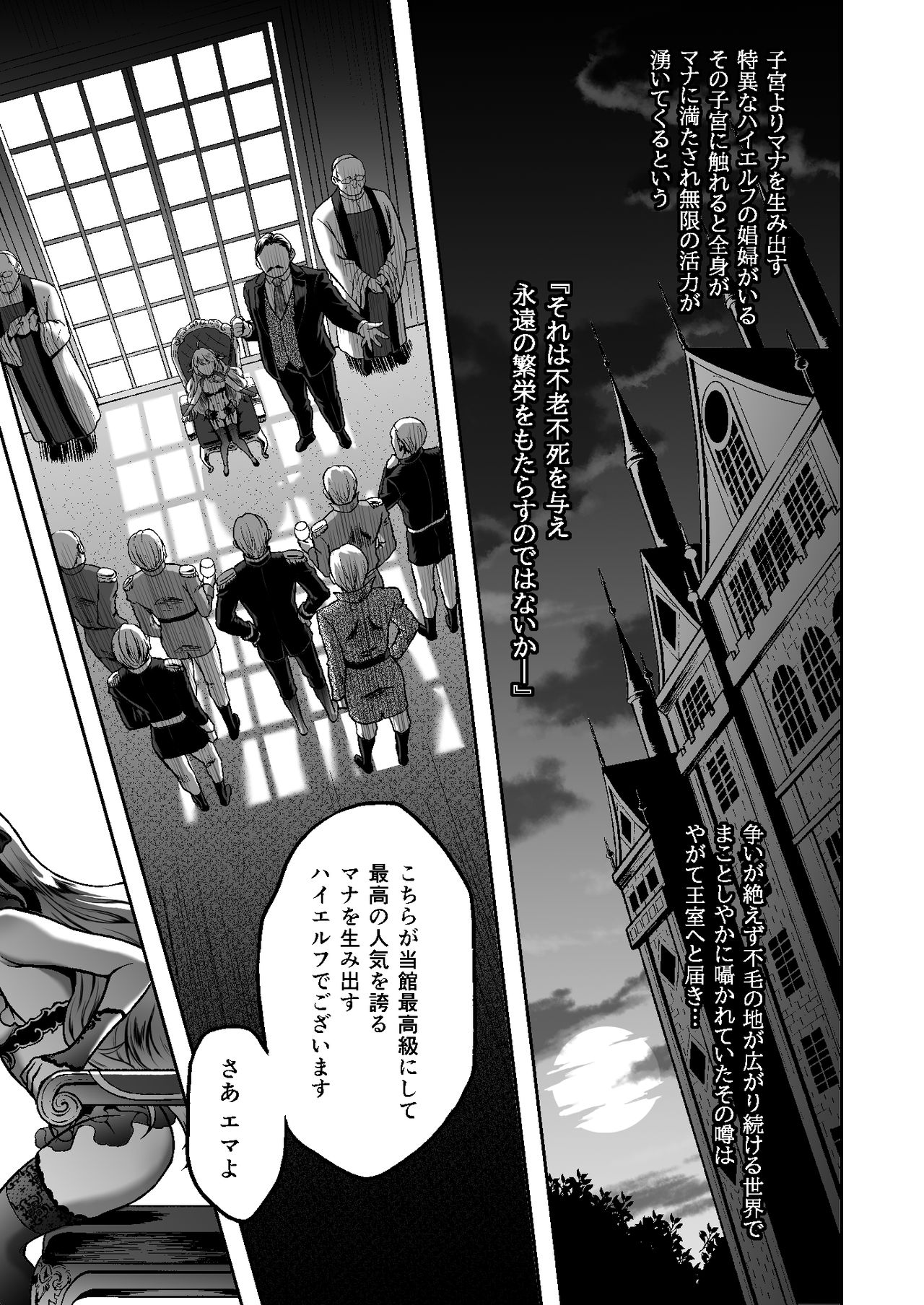Tasogare no Shou Elf 6 - The story of Emma's side page 3 full