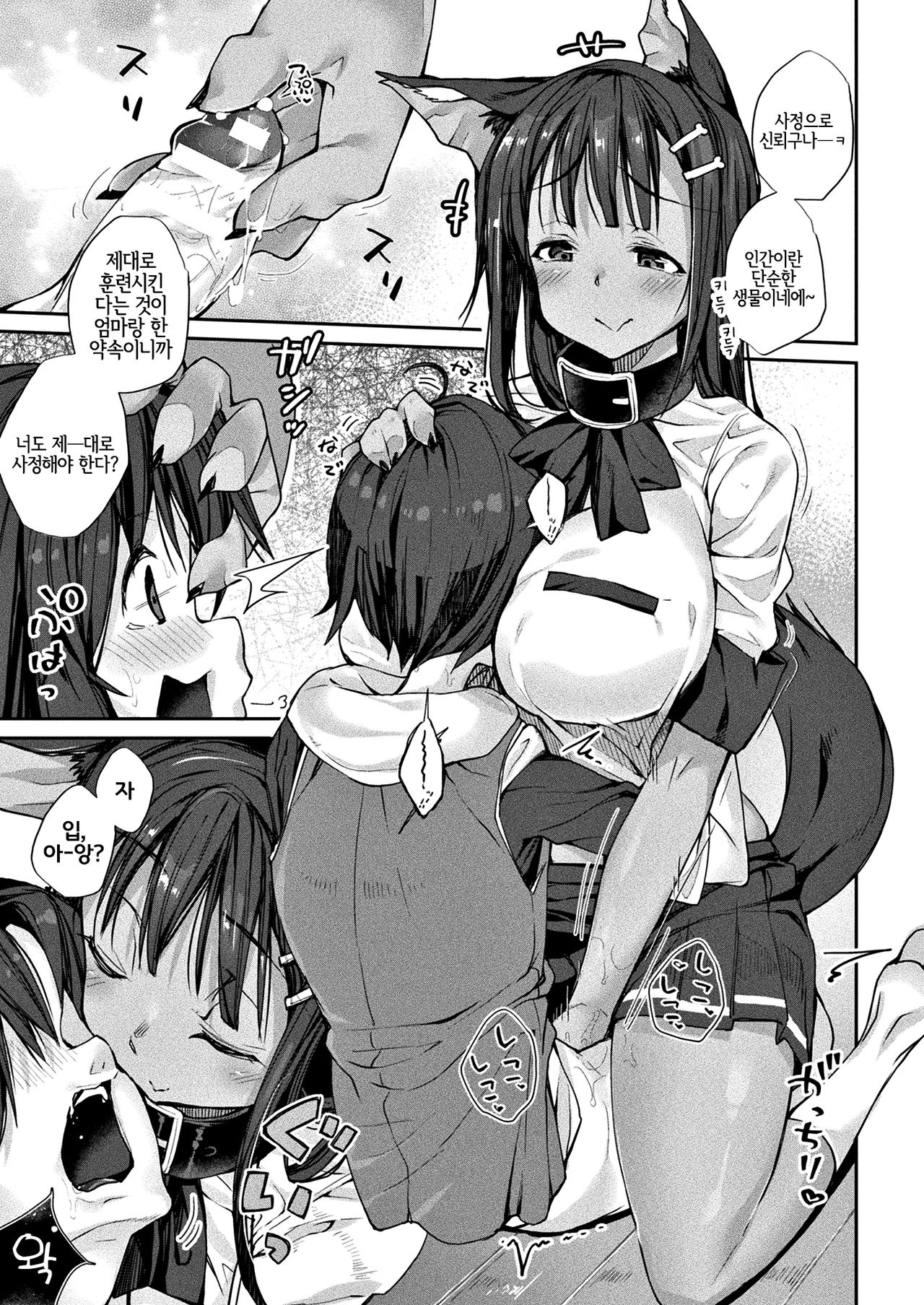 Boku wa Ningen de Pet de, Kitto Kazoku | 나는 인간이자 펫이고, 분명 가족 page 5 full