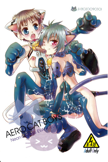 AERO CAT BOYS cover