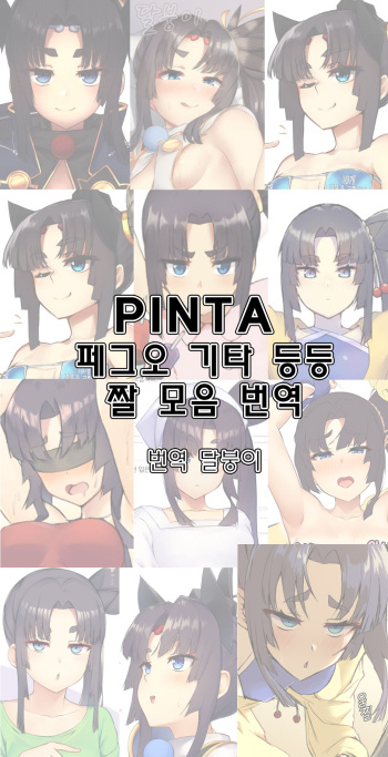 Pinta Collection cover