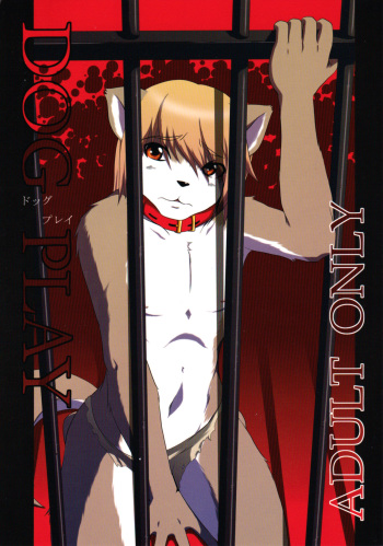 DOG PLAY cover