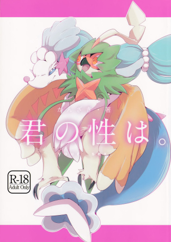 Kimi no Sei wa. Your Sex. cover