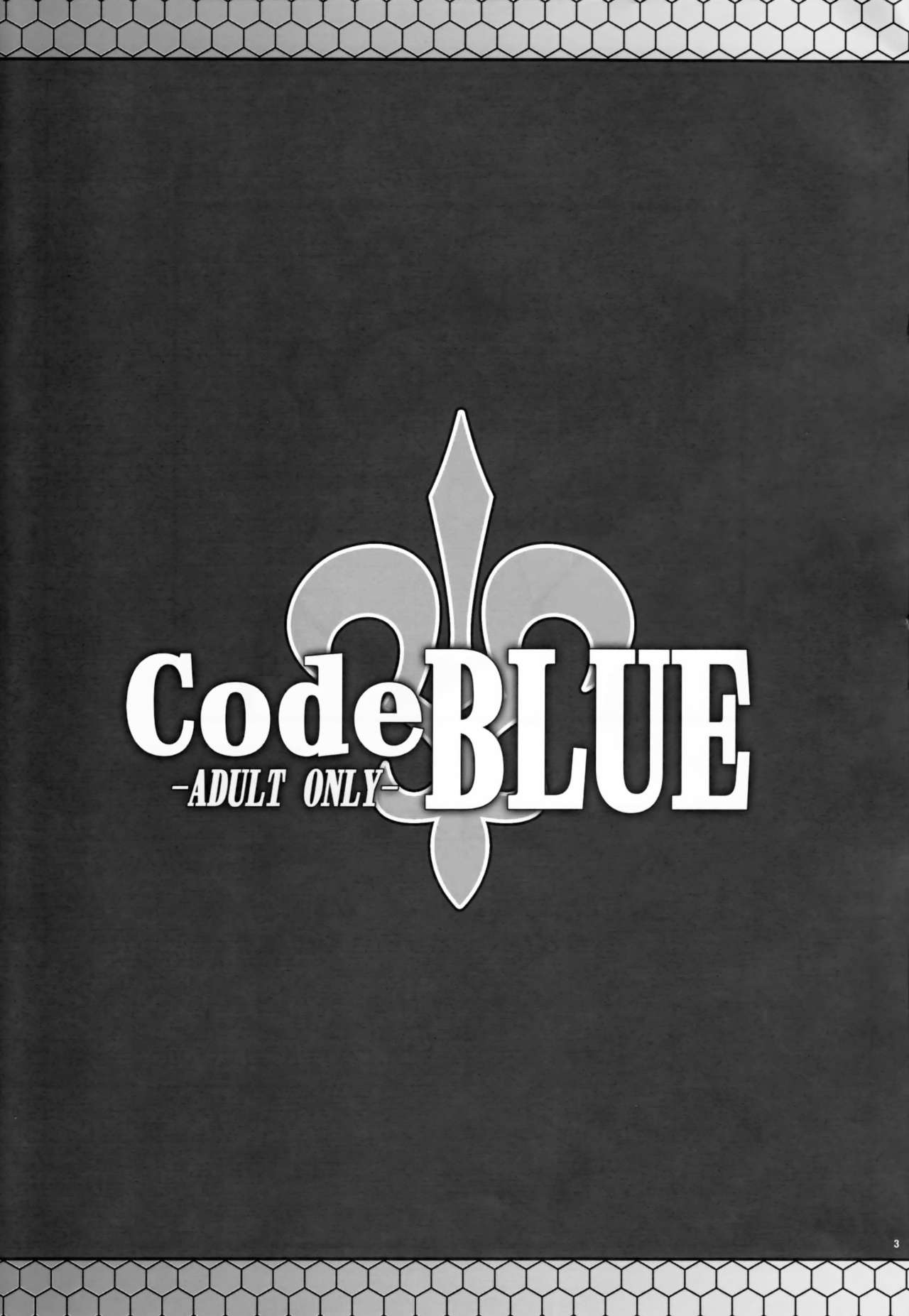 CodeBLUE page 3 full