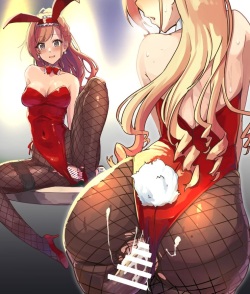 猫額