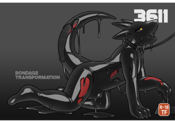 《3611》hacony cover